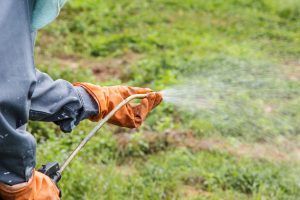 Farmer Spraying Pesticide on Crops
