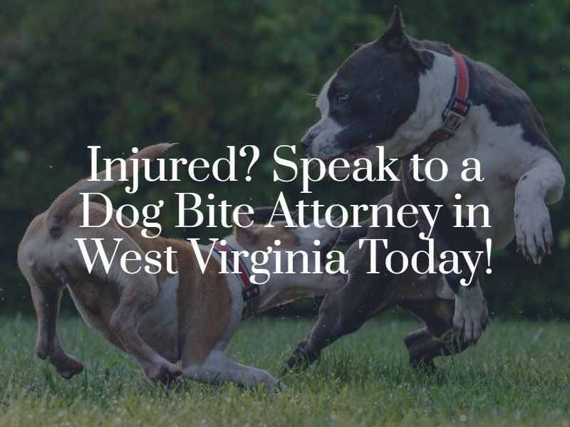 West Virginia Dog Bite Attorney